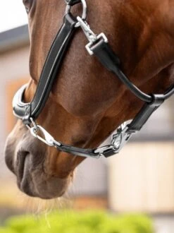 LeMieux Leather Grooming Headcollar -Equestria Shop 18222d