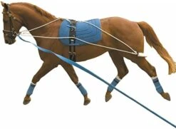Kincade Lunging Training System
