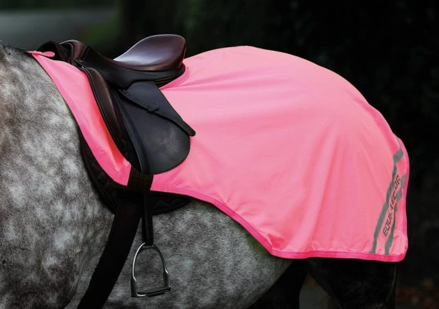 Shires Equi-Flector Exercise Sheet 2 Shires Equi-Flector Exercise Sheet - Image 2